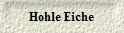 Hohle Eiche